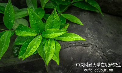 中央財經(jīng)大學(xué)同等學(xué)力申碩達(dá)到多少分才算通過考試？