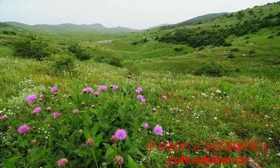 中國(guó)財(cái)經(jīng)大學(xué)在職研究生可以不考試么？