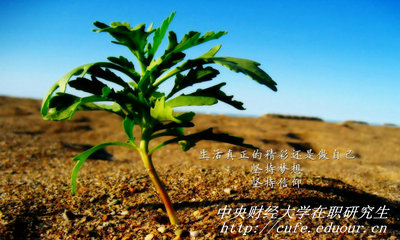 中央財(cái)經(jīng)大學(xué)在職研究生同等學(xué)力申碩有哪些優(yōu)勢(shì)？